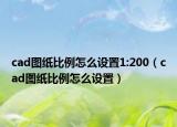 cad图纸比例怎么设置1:200（cad图纸比例怎么设置）