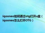 iqooneo如何通过otg打开u盘（iqooneo怎么打开OTG）