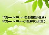 华为mate30 pro怎么设置小圆点（华为mate30pro小圆点怎么设置）