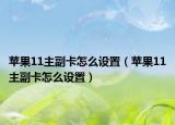 苹果11主副卡怎么设置（苹果11主副卡怎么设置）