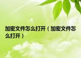加密文件怎么打开（加密文件怎么打开）