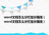 word文档怎么分栏加分隔线（word文档怎么分栏加分隔线）