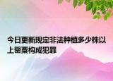 今日更新规定非法种植多少株以上罂粟构成犯罪