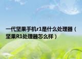 一代坚果手机r1是什么处理器（坚果R1处理器怎么样）