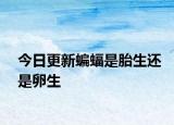 今日更新蝙蝠是胎生还是卵生