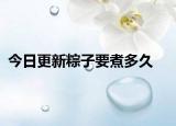 今日更新粽子要煮多久