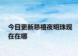 今日更新慈禧夜明珠现在在哪