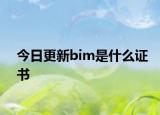 今日更新bim是什么证书