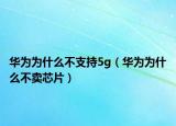 华为为什么不支持5g（华为为什么不卖芯片）