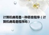 计算机病毒是一种恶意程序（计算机病毒是程序吗）