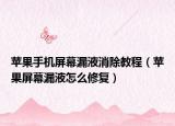 苹果手机屏幕漏液消除教程（苹果屏幕漏液怎么修复）