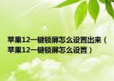 苹果12一键锁屏怎么设置出来（苹果12一键锁屏怎么设置）