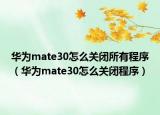 华为mate30怎么关闭所有程序（华为mate30怎么关闭程序）
