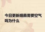今日更新细菌需要空气吗为什么