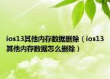 ios13其他内存数据删除（ios13其他内存数据怎么删除）