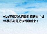vivo手机怎么把软件藏起来（vivo手机如何把软件藏起来）