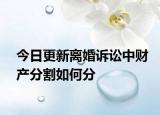 今日更新离婚诉讼中财产分割如何分