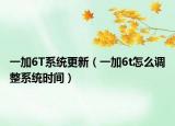 一加6T系统更新（一加6t怎么调整系统时间）