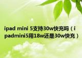 ipad mini 5支持30w快充吗（ipadmini5用18w还是30w快充）
