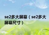 se2多大屏幕（se2多大屏幕尺寸）
