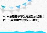 excel表格的字怎么完全显示出来（为什么表格里的字显示不出来）