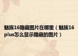魅族16隐藏图片在哪里（魅族16plus怎么显示隐藏的图片）