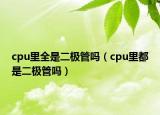 cpu里全是二极管吗（cpu里都是二极管吗）