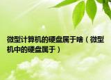 微型计算机的硬盘属于啥（微型机中的硬盘属于）