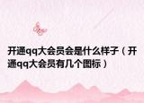 开通qq大会员会是什么样子（开通qq大会员有几个图标）