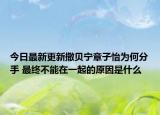 今日最新更新撒贝宁章子怡为何分手 最终不能在一起的原因是什么