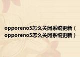 opporeno5怎么关闭系统更新（opporeno5怎么关闭系统更新）