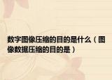 数字图像压缩的目的是什么（图像数据压缩的目的是）