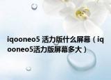 iqooneo5 活力版什么屏幕（iqooneo5活力版屏幕多大）