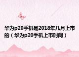 华为p20手机是2018年几月上市的（华为p20手机上市时间）