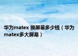 华为matex 换屏幕多少钱（华为matex多大屏幕）