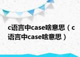 c语言中case啥意思（c语言中case啥意思）
