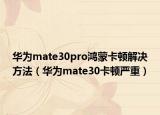 华为mate30pro鸿蒙卡顿解决方法（华为mate30卡顿严重）