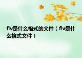 flv是什么格式的文件（flv是什么格式文件）