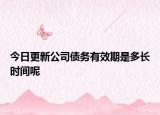 今日更新公司债务有效期是多长时间呢