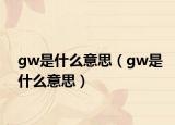 gw是什么意思（gw是什么意思）