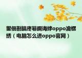 鐢佃剳鎬庝箞鐧诲綍oppo瀹樼綉（电脑怎么进oppo官网）