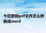 今日更新pdf文件怎么转换成word