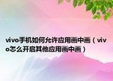 vivo手机如何允许应用画中画（vivo怎么开启其他应用画中画）