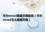 华为nova3隐藏刘海壁纸（华为nova3怎么隐藏刘海）