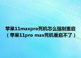 苹果11maxpro死机怎么强制重启（苹果11pro max死机重启不了）