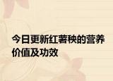 今日更新红薯秧的营养价值及功效