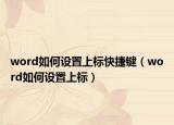 word如何设置上标快捷键（word如何设置上标）