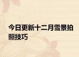 今日更新十二月雪景拍照技巧