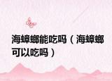 海蟑螂能吃吗（海蟑螂可以吃吗）