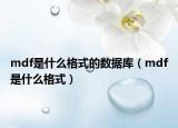 mdf是什么格式的数据库（mdf是什么格式）